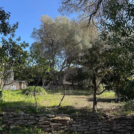 Casa Canetto - Moderne, Tv, Jardin