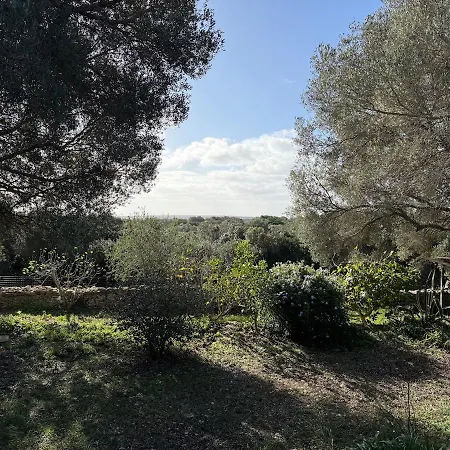 Casa Canetto - Moderne, Tv, Jardin Semesterbostad Bonifacio (Corsica)
