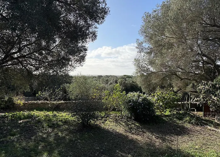 Casa Canetto - Moderne, Tv, Jardin 度假居 博尼法乔