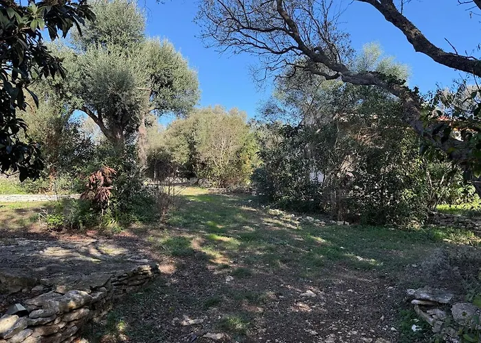 Casa Canetto - Moderne, Tv, Jardin 博尼法乔